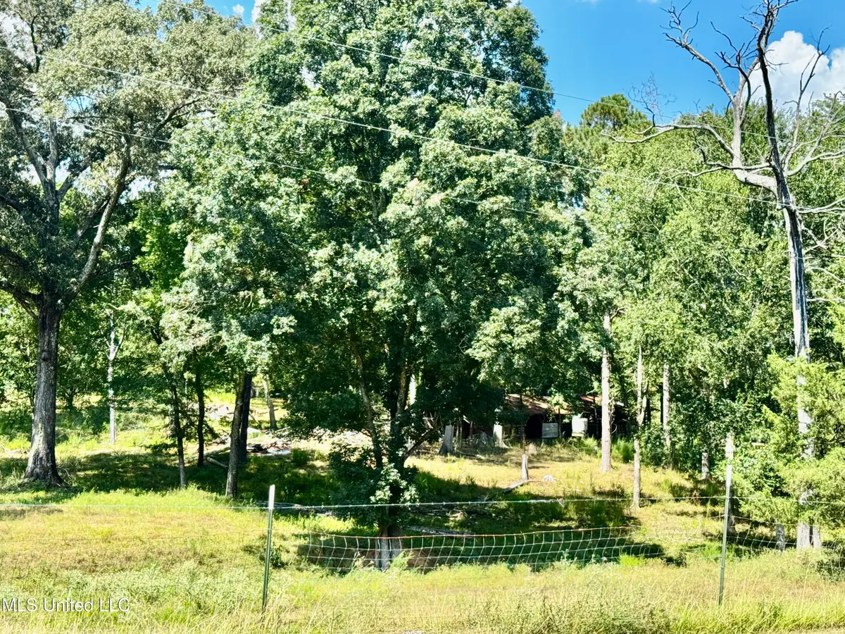 274 Everett Church Road, Mendenhall, MS 39114 - #1