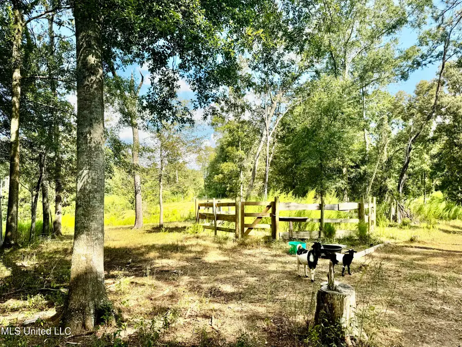 274 Everett Church Road, Mendenhall, MS 39114 - #3