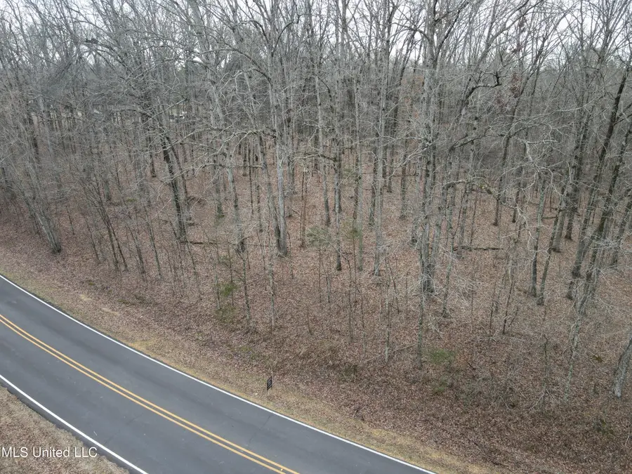 Woolsey Road, Olive Branch, MS 38654 - #2