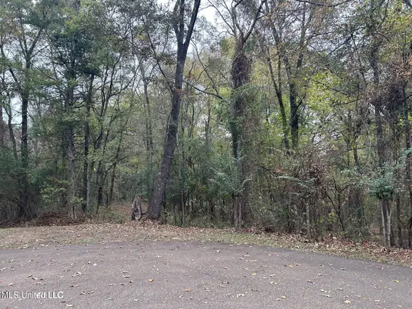 Westminster Court, Madison, MS 39110