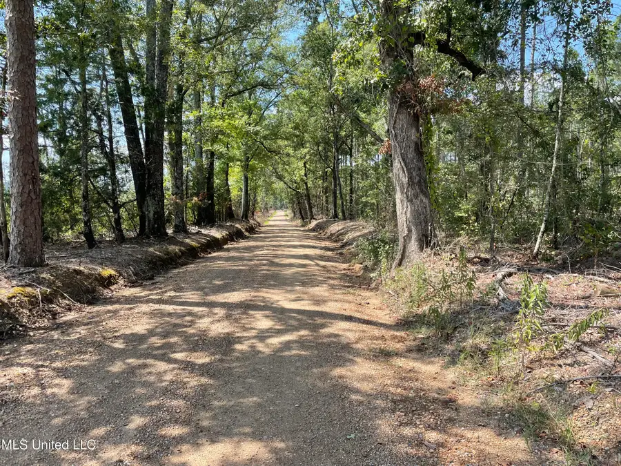 Pisgah Road, Brandon, MS 39047 - Image #3
