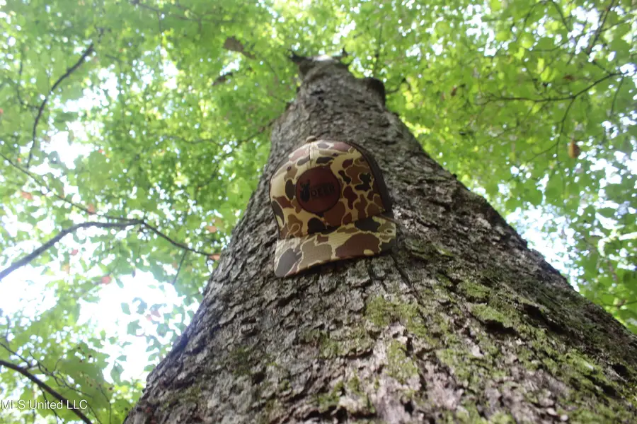 NE Greenhill Trail, Brookhaven, MS 39601 - Image #2