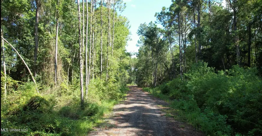 Graveline Road, Gautier, MS 39553 - Image #2