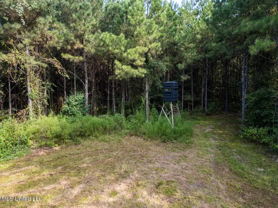 4069 Dixie Garden Road, Wesson, MS 39191 - Image #2
