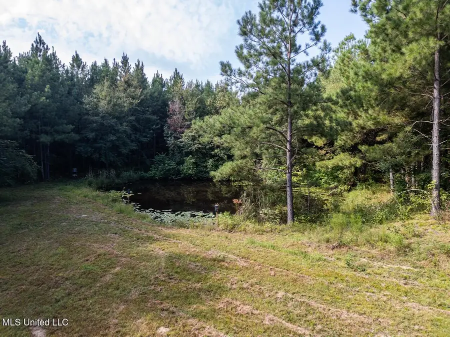 4069 Dixie Garden Road, Wesson, MS 39191 - Image #3