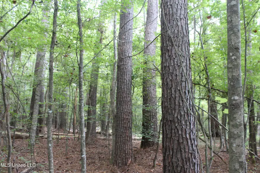 NE Hopewell Road, Brookhaven, MS 39601 - Image #2