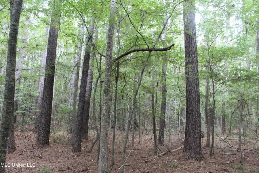 NE Hopewell Road, Brookhaven, MS 39601 - Image #3