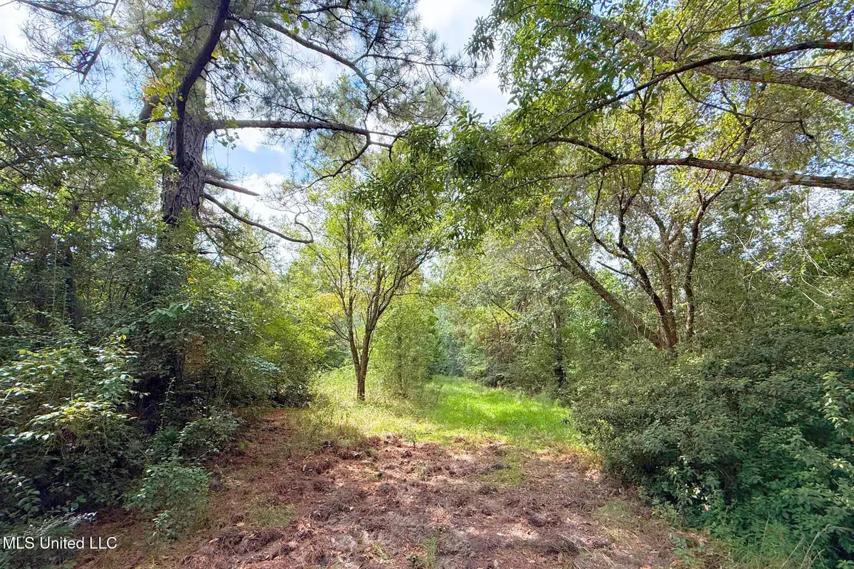 8405 Wire Road, Vancleave, MS 39565 - #1