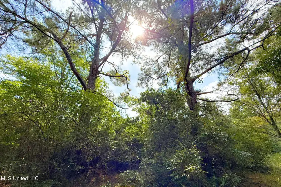 8405 Wire Road, Vancleave, MS 39565 - #3