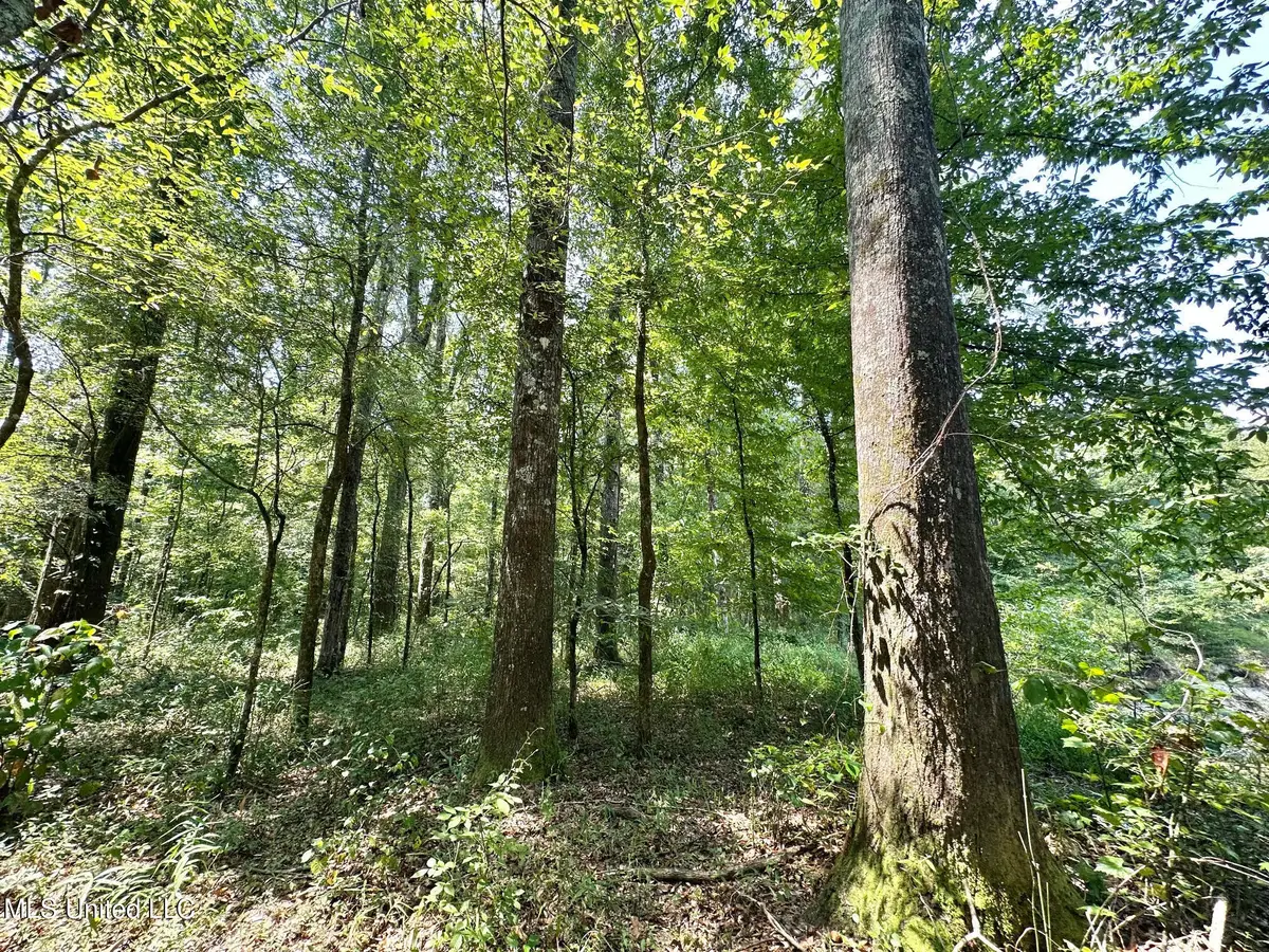 2 Champion Hill Road, Bolton, MS 39041 - Image #1