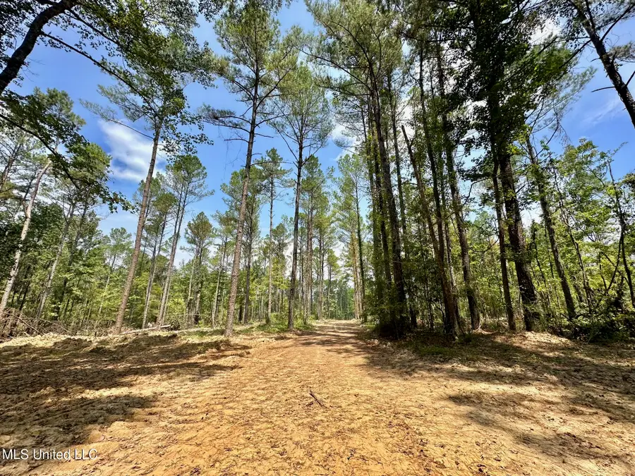 2 Champion Hill Road, Bolton, MS 39041 - Image #2