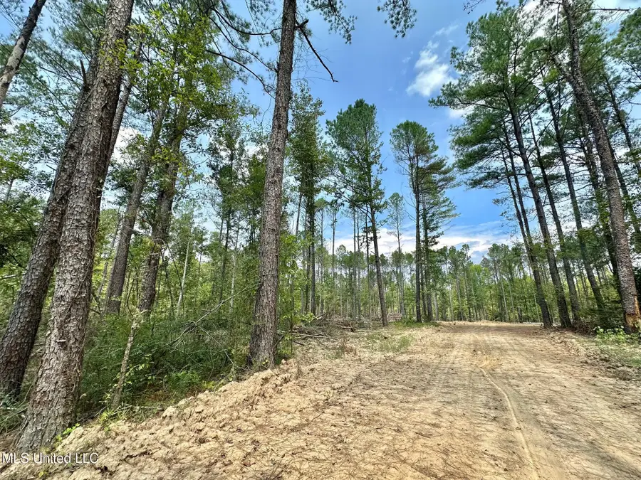 2 Champion Hill Road, Bolton, MS 39041 - Image #3
