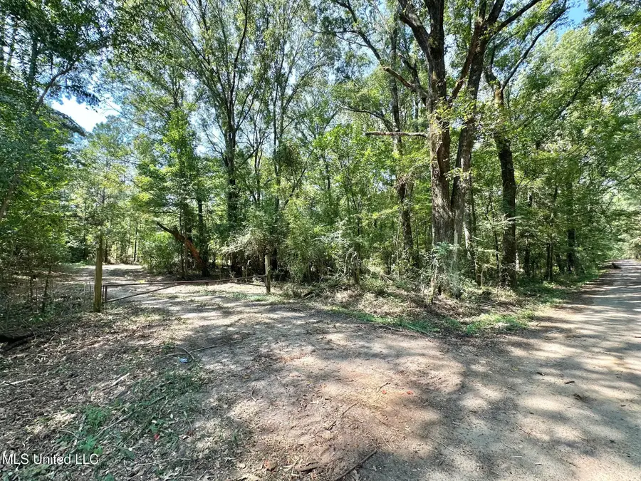 3 Champion Hill Road, Bolton, MS 39041 - Image #2