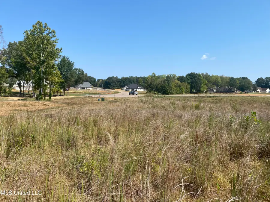 107 Louise Cove Road, Byhalia, MS 38611 - Image #2