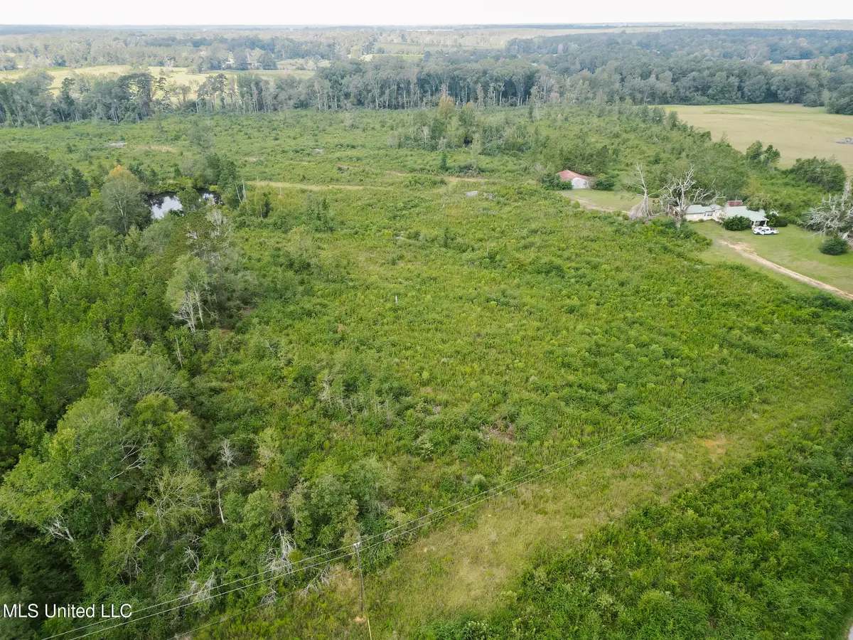 2778 SW Big Creek Drive, Bogue Chitto, MS 39629 - Image #1