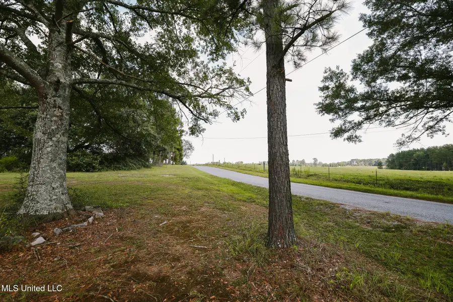 2778 SW Big Creek Drive, Bogue Chitto, MS 39629 - Image #2