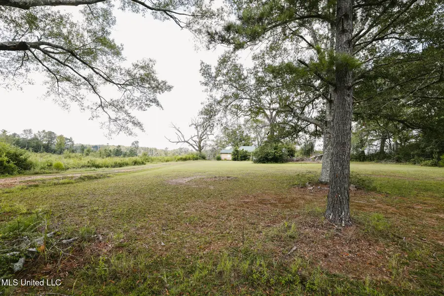 2778 SW Big Creek Drive, Bogue Chitto, MS 39629 - Image #3