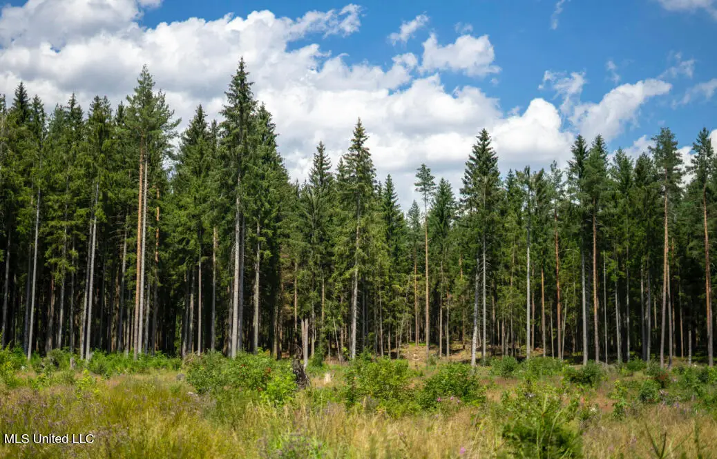 Bayou Cumbest Road, Moss Point, MS 39562 - #1