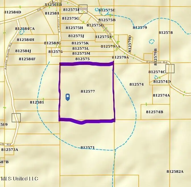 0 Lucille Ln, Ruth, MS 39662 - Image #2