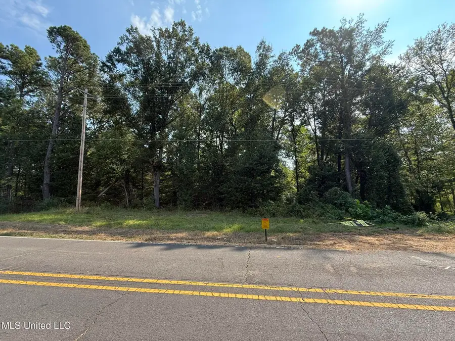 0 Polk Lane, Olive Branch, MS 38654 - Image #2