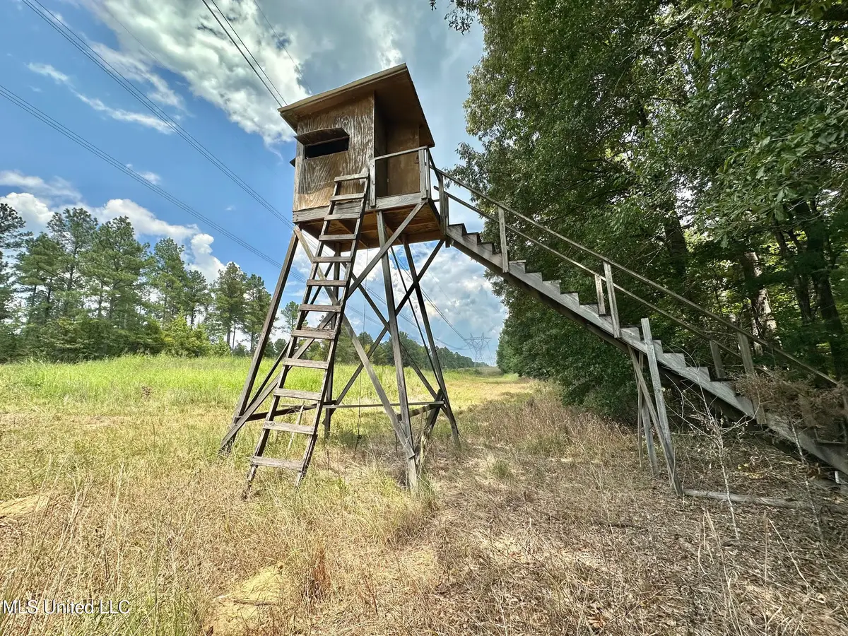 3 Dry Grove Road, Terry, MS 39170 - Image #1