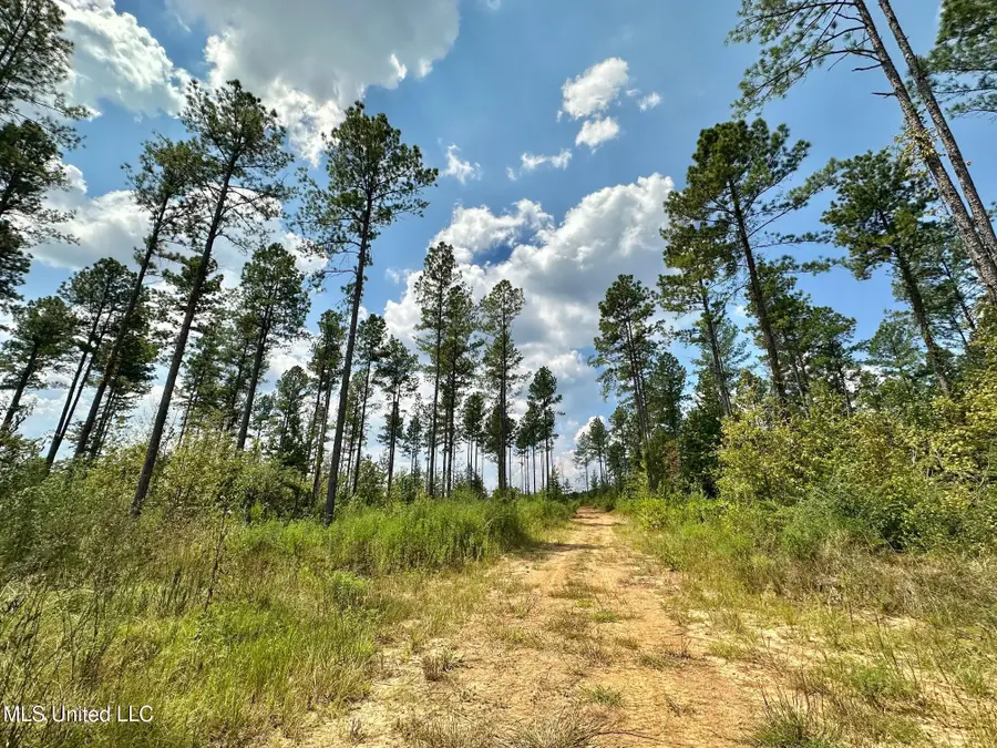 3 Dry Grove Road, Terry, MS 39170 - Image #2