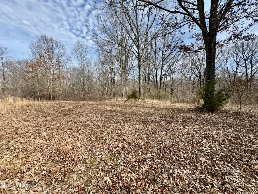 0 Tolbert Road, Coldwater, MS 38618 - Image #3