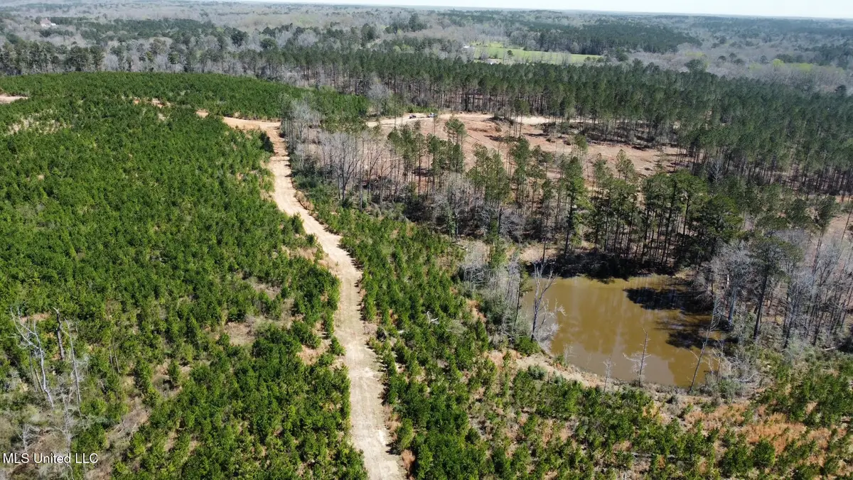 0 Highway 478, Newhebron, MS 39140 - Image #1