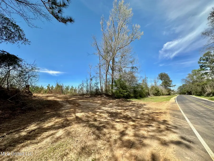 0 Highway 478, Newhebron, MS 39140 - Image #2