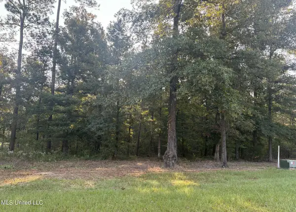 00 Shire Avenue, Forest, MS 39074