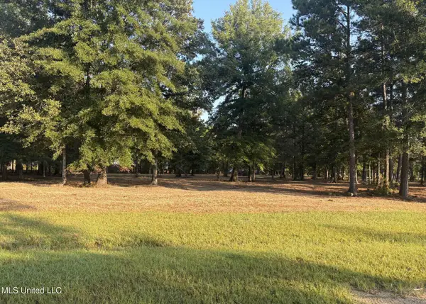 00 Shire Avenue, Forest, MS 39074