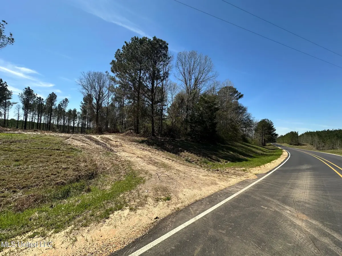 2 Highway 478, Newhebron, MS 39140 - Image #1