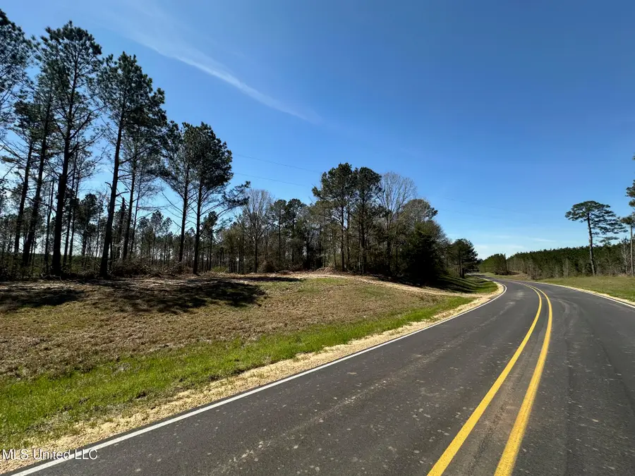 2 Highway 478, Newhebron, MS 39140 - Image #3