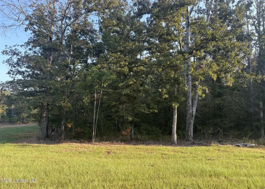 00 Shire Avenue, Forest, MS 39074 - Image #2