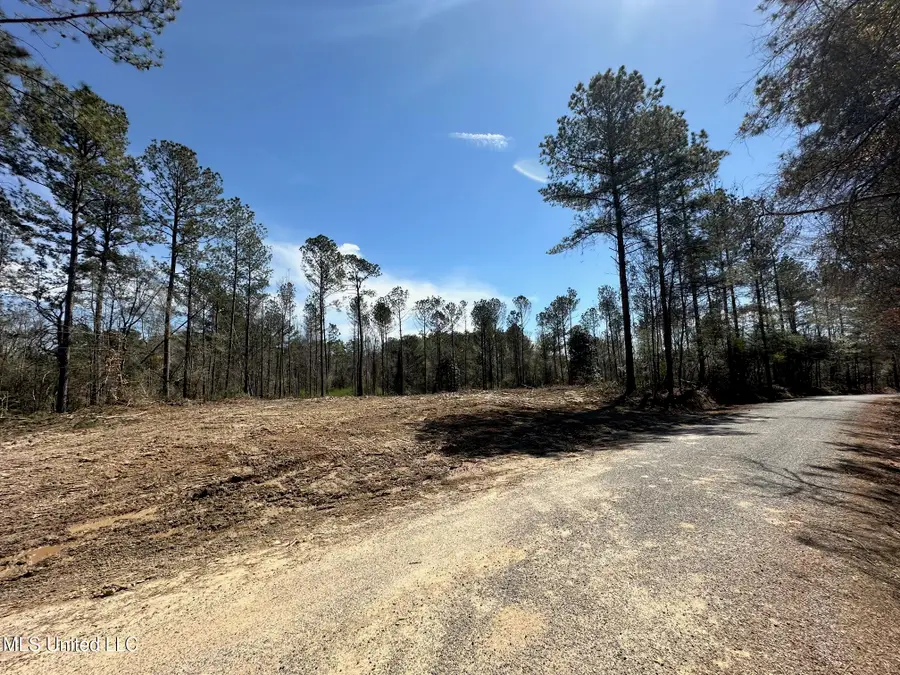 4 Highway 478, Newhebron, MS 39140 - Image #2