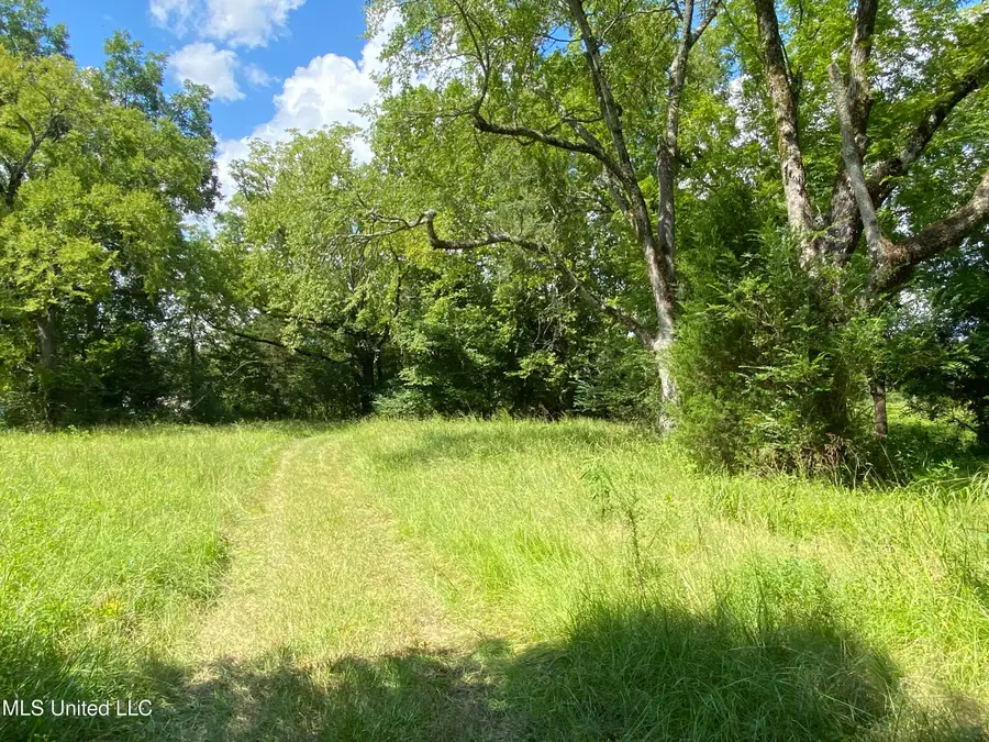 0 Skating Rink Road, Red Banks, MS 38661 - Image #2
