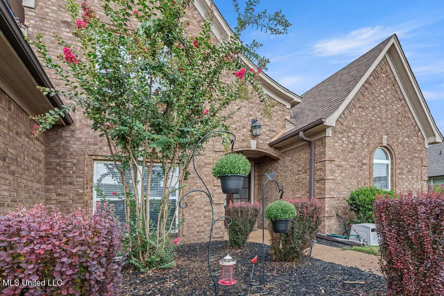 2904 S Cherry Drive, Southaven, MS 38672 - Image #3