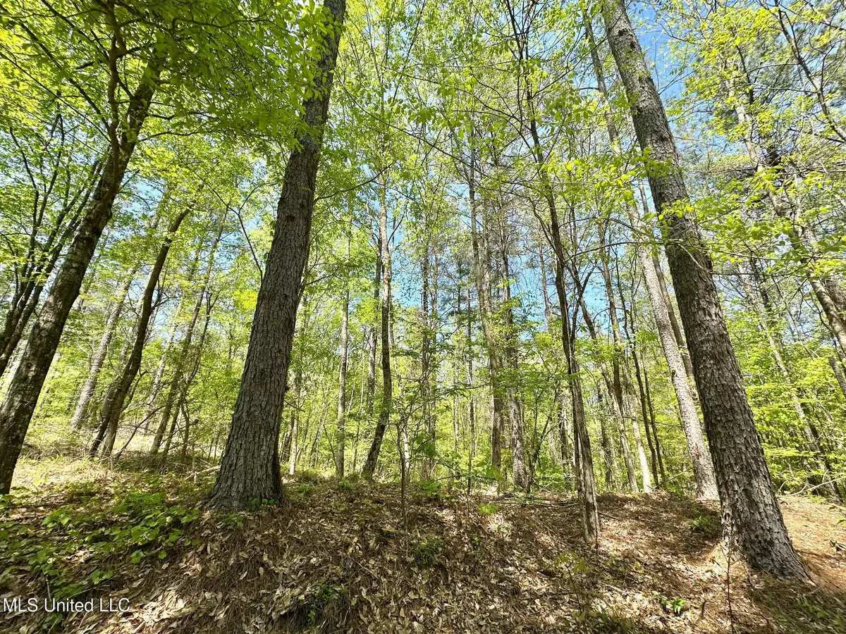 0 County Road 375, Carrollton, MS 38917 - Image #1