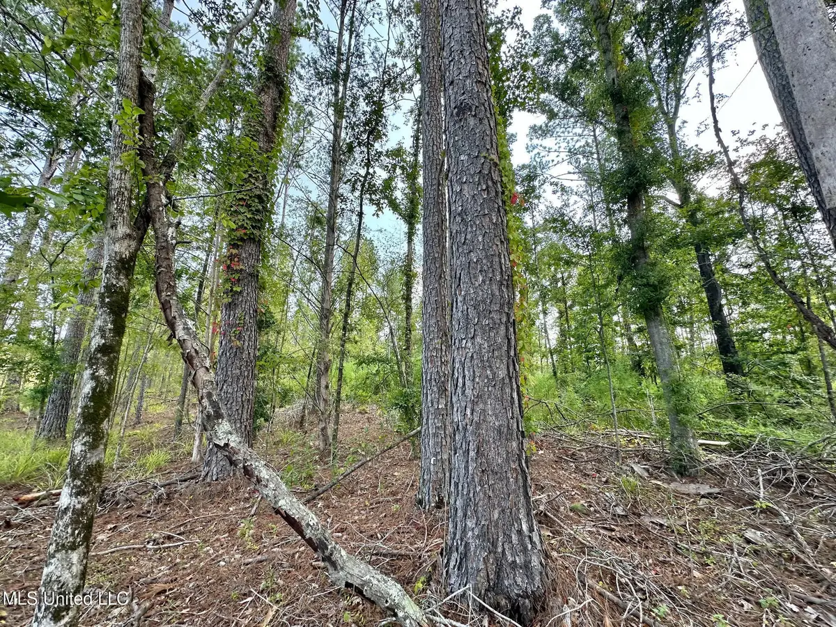 1 Prentiss Crump Road, Terry, MS 39170 - Image #1