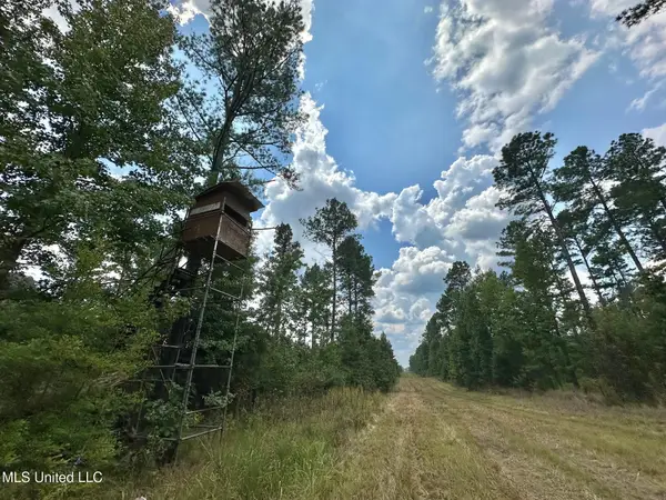 2 Prentiss Crump Road, Terry, MS 39170