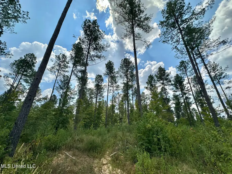 2 Prentiss Crump Road, Terry, MS 39170 - Image #2