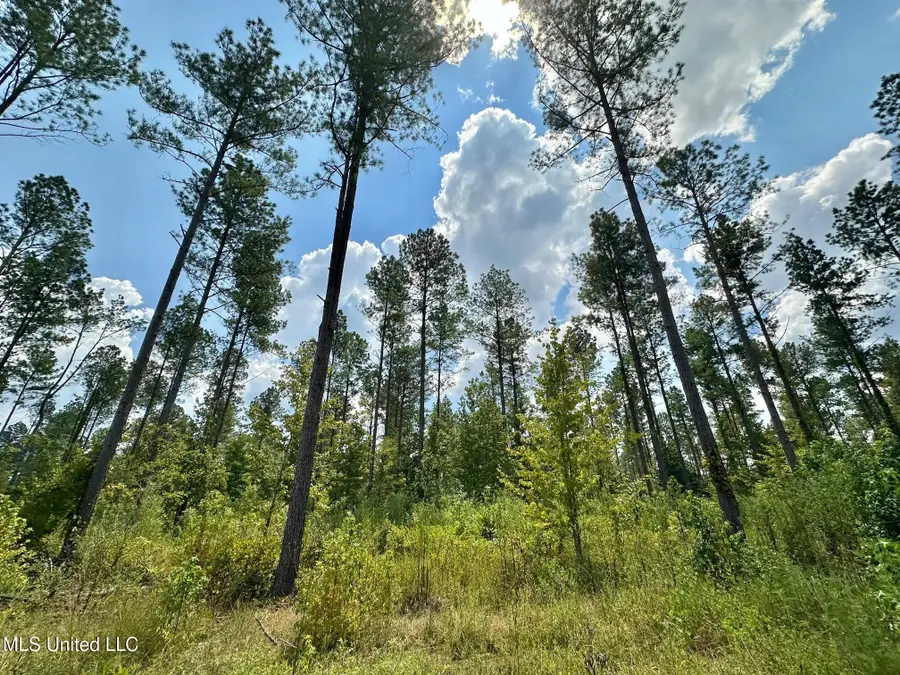 2 Prentiss Crump Road, Terry, MS 39170 - Image #3