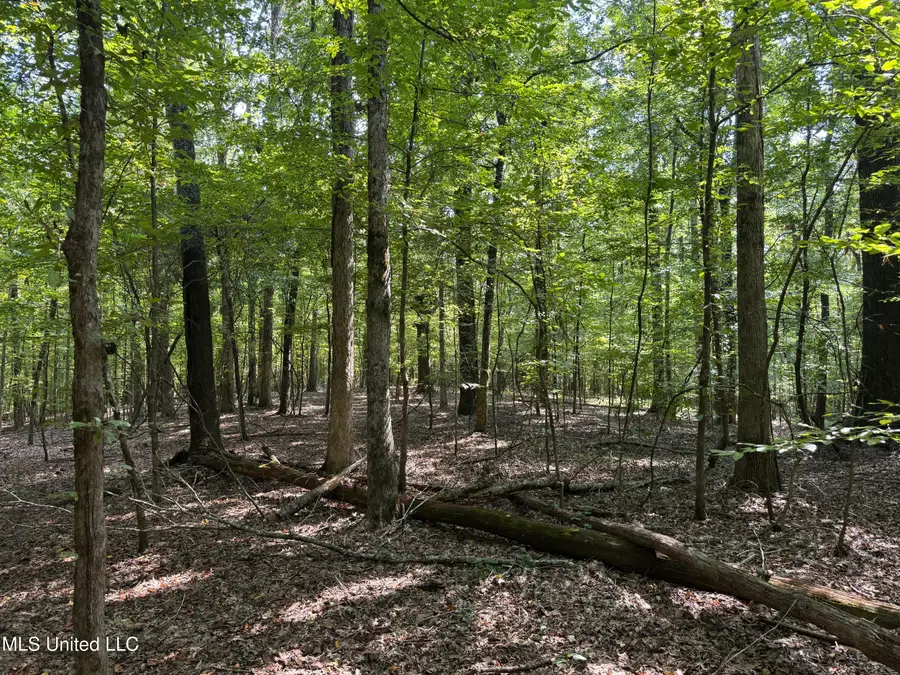 0001 Old Dover Road, Yazoo City, MS 39194 - Image #3