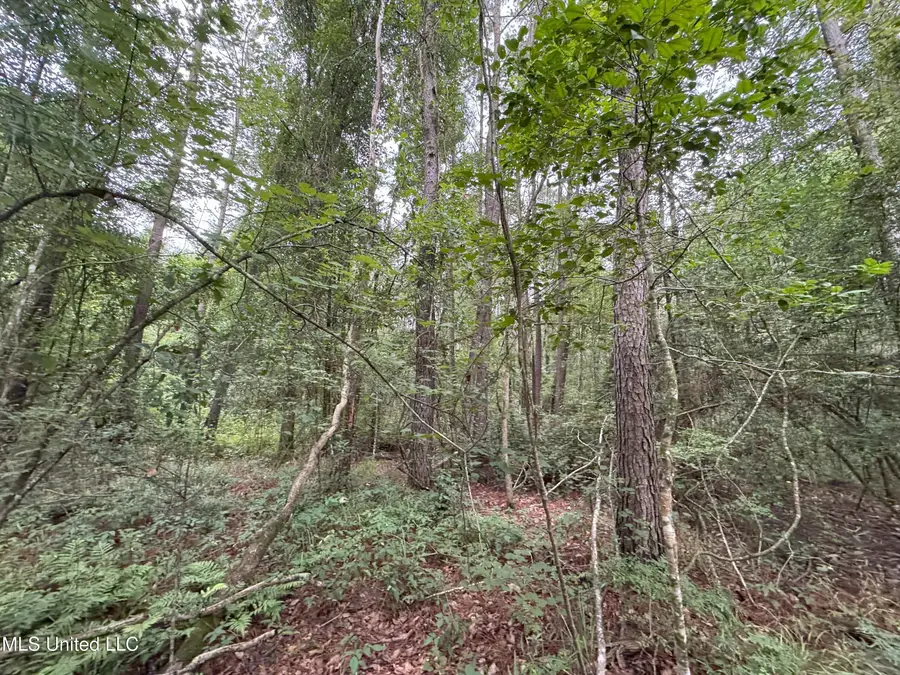 25232 Louisiana Highway 442, Albany, LA 70711 - Image #3