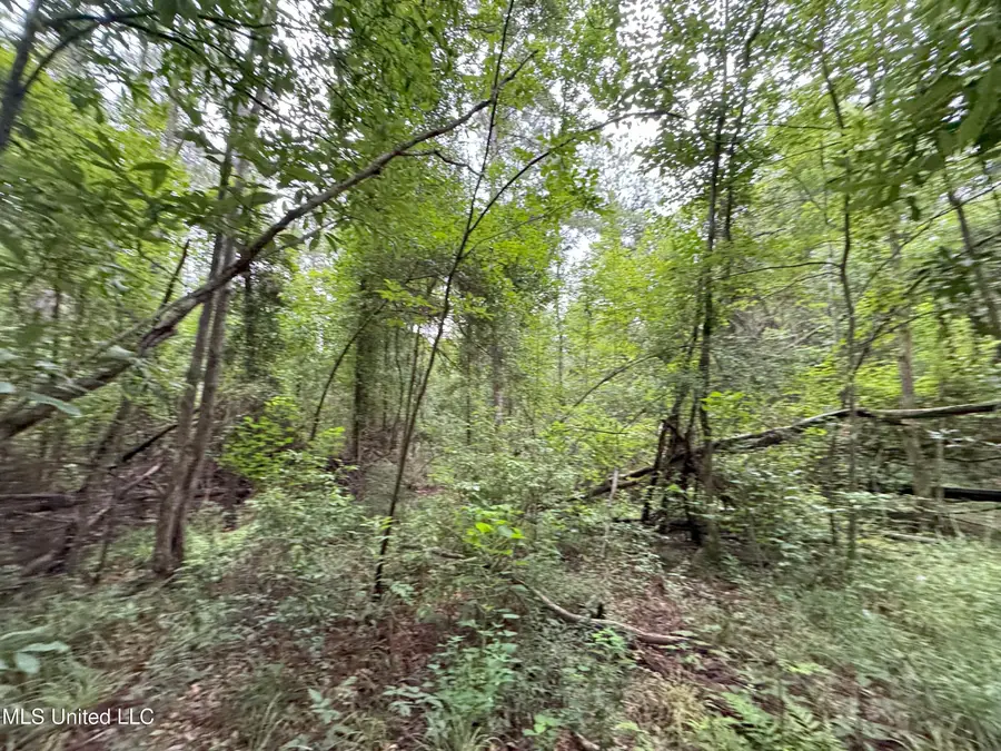 32477 Chapel Pine Drive, Albany, LA 70711 - Image #2