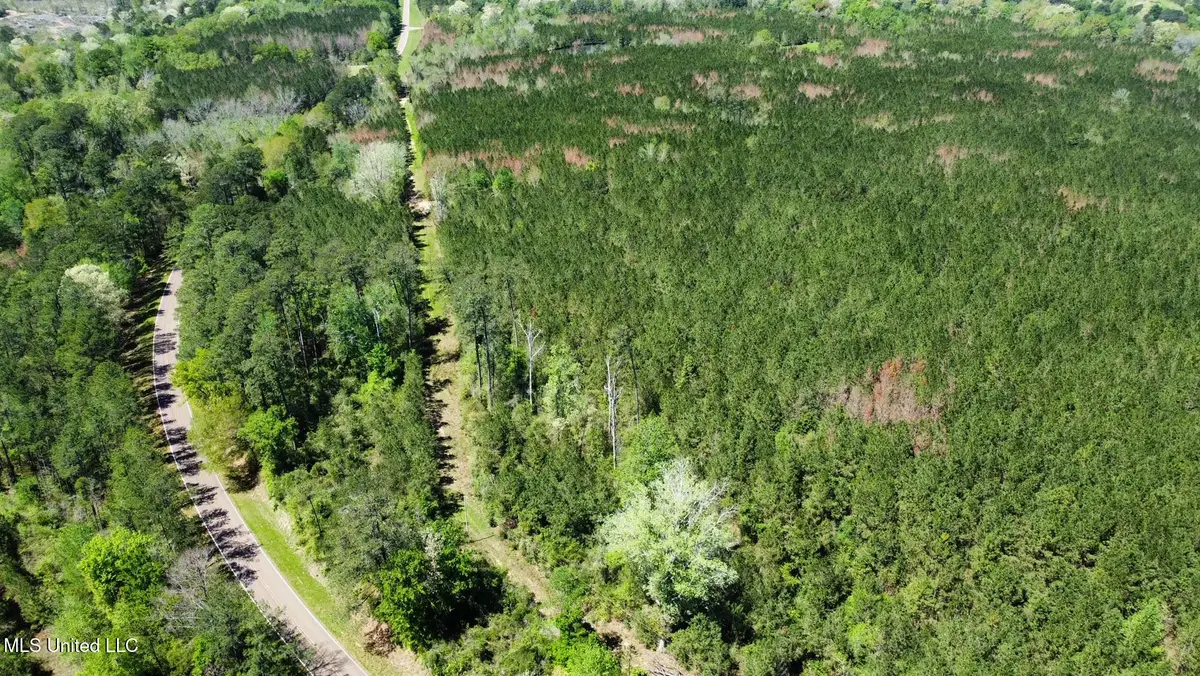 00 Highway 478, Newhebron, MS 39140 - Image #1