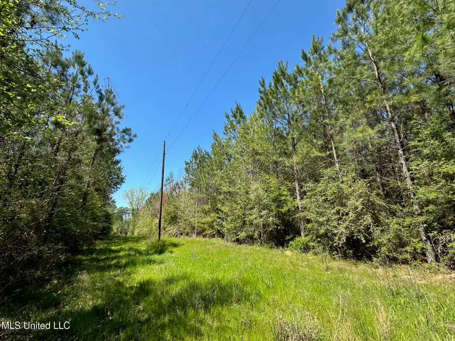 00 Highway 478, Newhebron, MS 39140 - Image #2