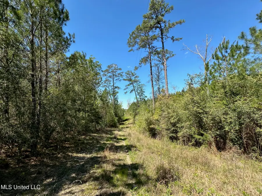 00 Highway 478, Newhebron, MS 39140 - Image #3