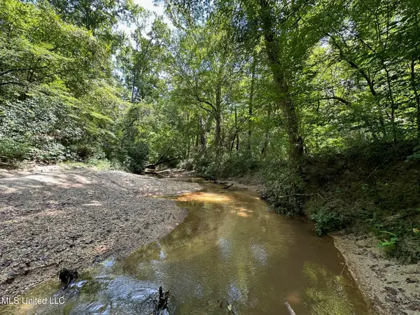 0 Railroad Lane, Pinola, MS 39149