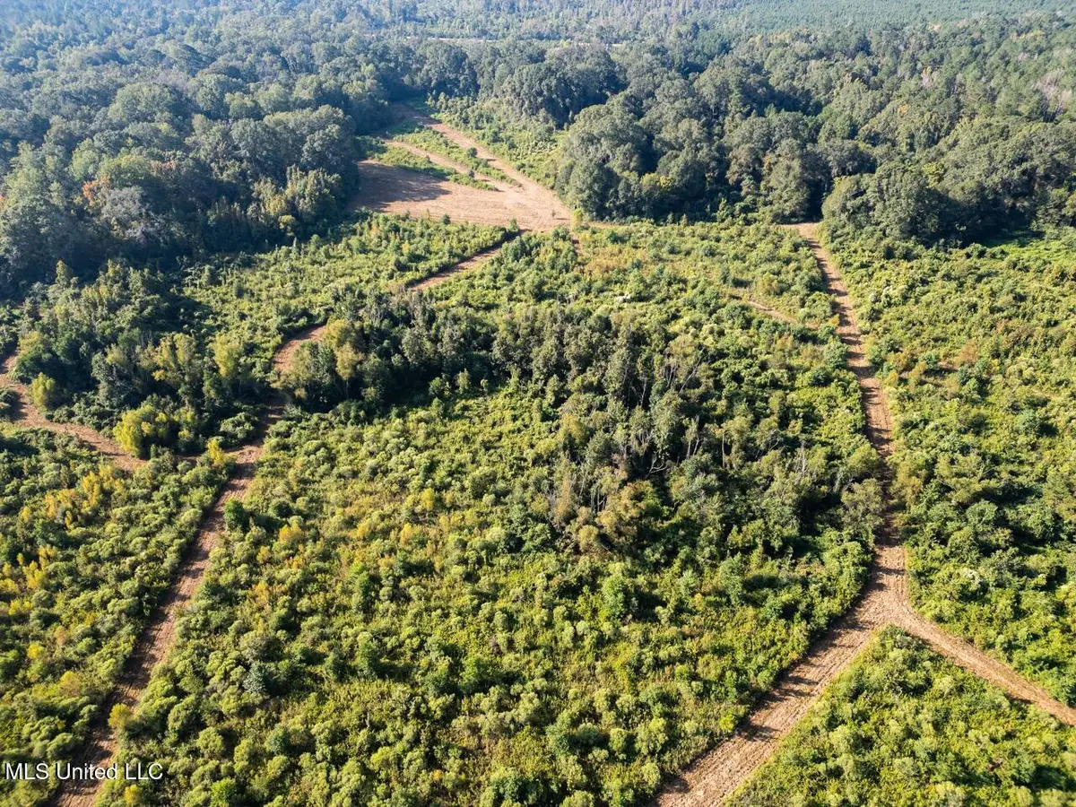 5073 Rollinson Road, Liberty, MS 39645 - Image #1